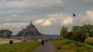 Désinsectisation dératisation Mont-Saint-Aignan